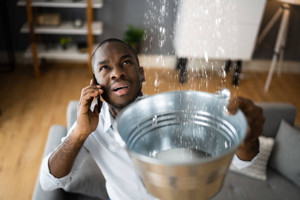 Best Ceiling water damage repair  in Georgetown, GA