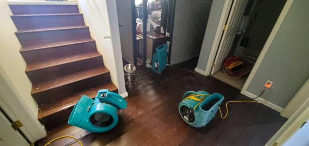 Best Fire Damage Restoration  in Georgetown, GA