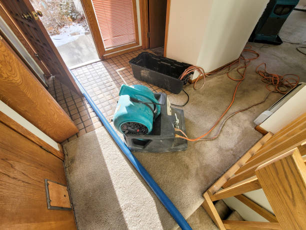 Best Flood damage cleanup  in Georgetown, GA