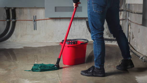 Best Ceiling water damage repair  in Georgetown, GA