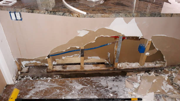 Best Flooded house restoration  in Georgetown, GA