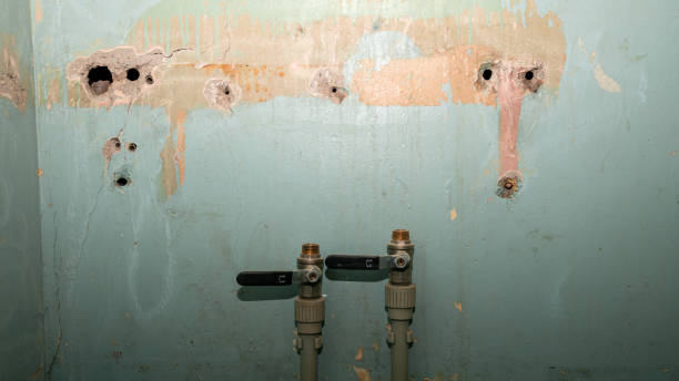 Best Flood damage cleanup  in Georgetown, GA