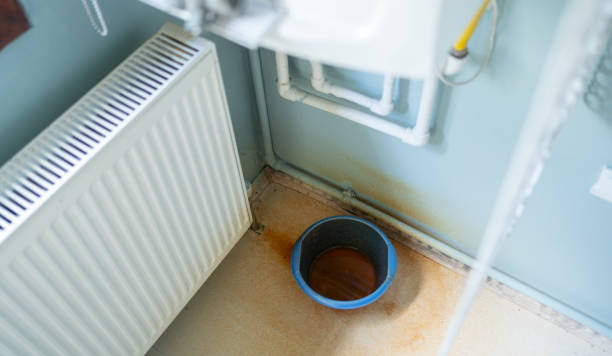 Best Local water damage restoration  in Georgetown, GA