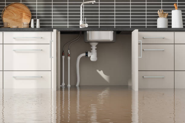 Best 24/7 water damage repair  in Georgetown, GA
