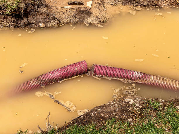 Best Water damage restoration near me  in Georgetown, GA