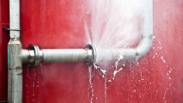 Best Sewage cleanup and water damage restoration  in Georgetown, GA